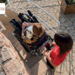 Domino People – Carretilla oruga sube escaleras para personas mayores y discapacitadas